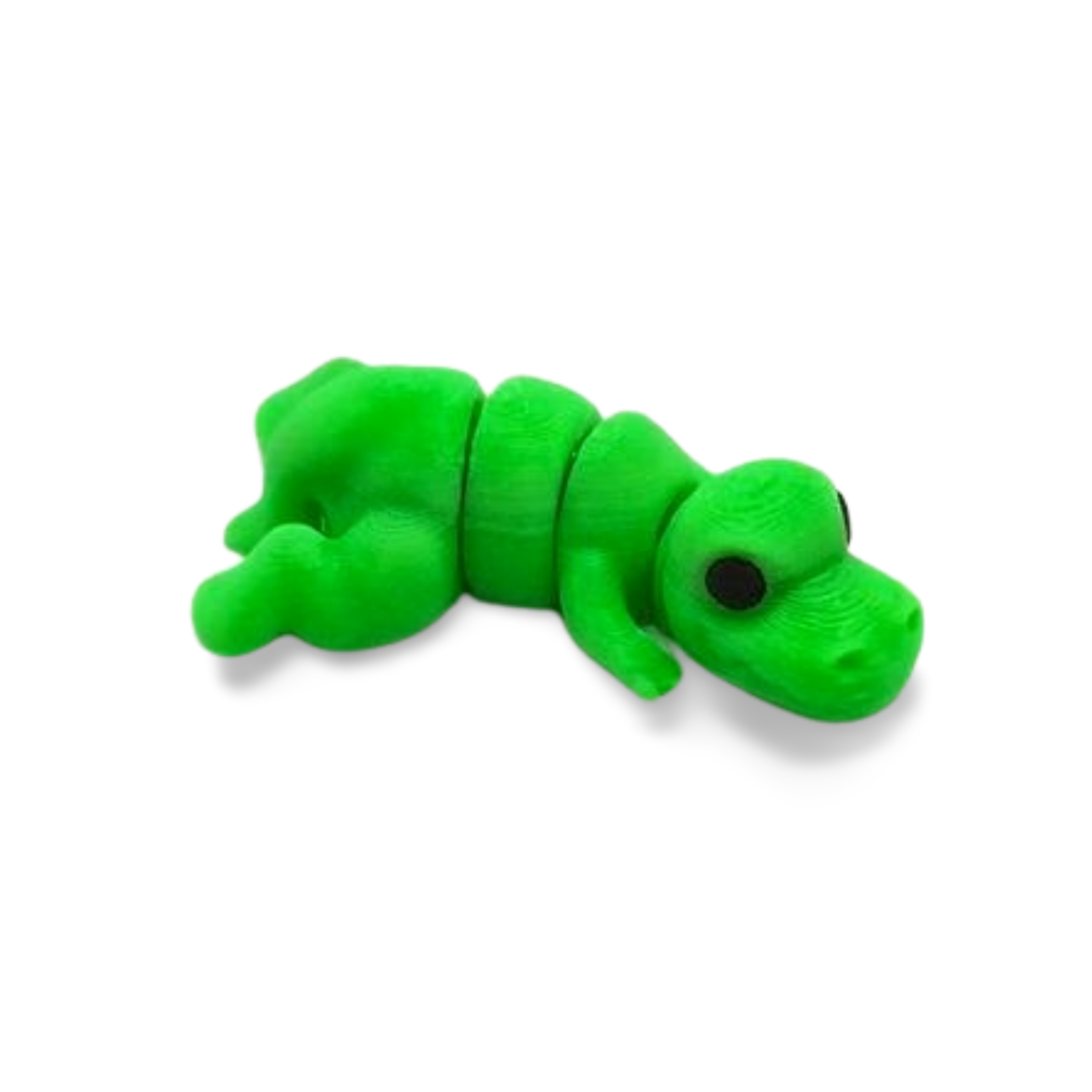 Baby T Rex