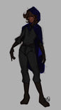 Commission Work