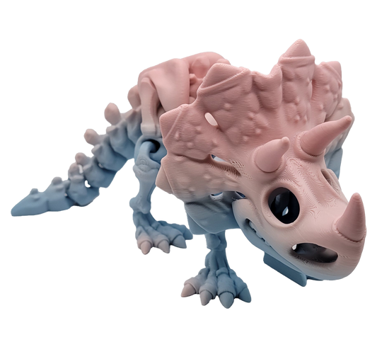 Triceratops