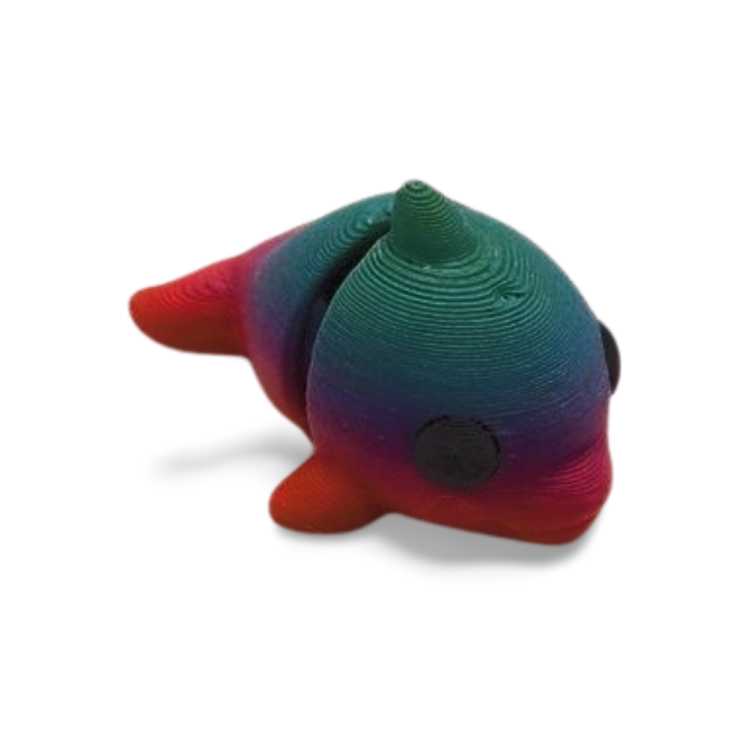 Dolphin